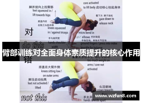 臂部训练对全面身体素质提升的核心作用